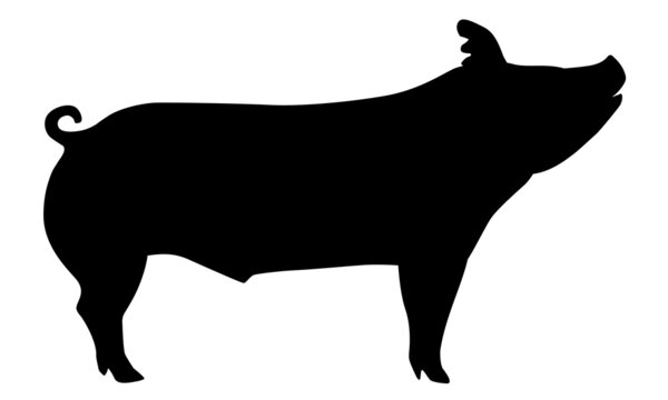 recommend clip art: Pig Silhouette - Farm Animal. Vector Icon  illustration.
