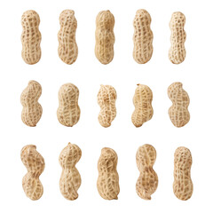 set of peanuts in a nutshell, unpeeled and shelled peanuts isolated on white background.