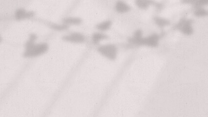 
Product background using 3D rendering and geometry. background for products mockup
 presentation. 3d rendering illustration.