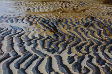 The sea and the beach are polluted with oil. A crude oil spill on the sand of a city beach