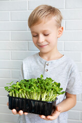 boy 7 years old holding a container with microgreens on a white background