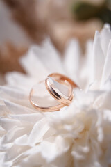 wedding rings, beautiful wedding rings on a flower
