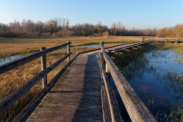 Fototapeta premium Wooden footpath on wet meadow in the Episy Sensitive Natural Space. French Gatinais Regional Nature Park