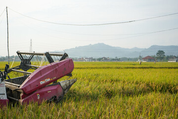 Pati, Indonesia - January, 2022 : 
Automatic rice harvester machine is being used to harvest the...