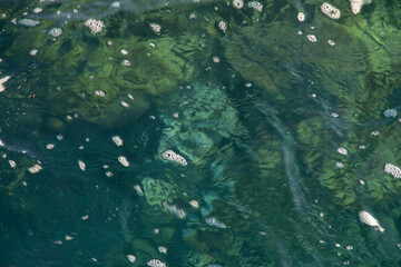 natural background abstraction of sea water