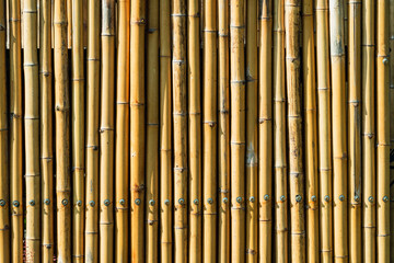 Old brown tone bamboo simple wall or Bamboo fence texture background for interior or exterior design vintage tone. Brown bamboo stick pattern backdrop. Local area urban house protection from thief.