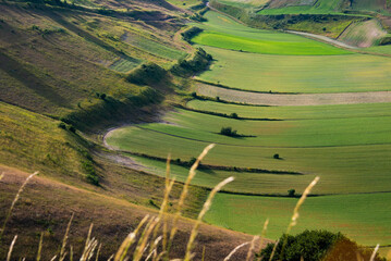 Valley with green agricultural fields in summer