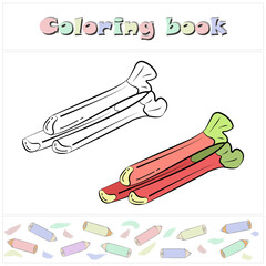 Rhubarb. A page of a coloring book with a colorful vegetables and a sketch for coloring. Preschool education. Cartoon style. Vector illustration for children, eps