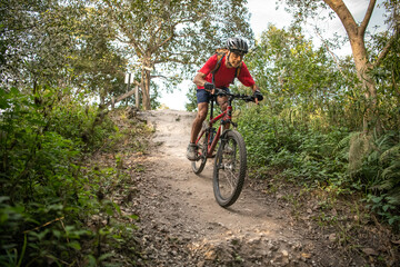 Fototapeta na wymiar Man mountain biking on a trail