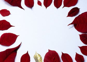 red poinsettia leaf border frame with one gold leaf
