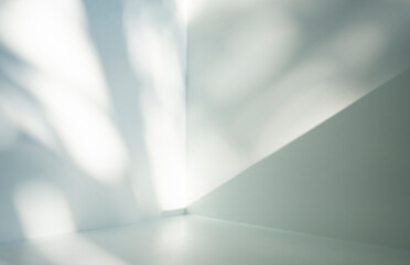Illumination of natural light and shadow on a white room surface with free space.
