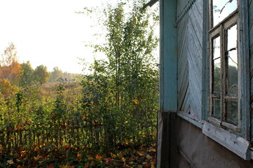 window in the autumn