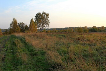 Fototapeta na wymiar Beautiful nature in autumn, sunset in the field. Unique depiction of the environment.