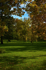 Fototapeta premium _IGP20120929Pl32