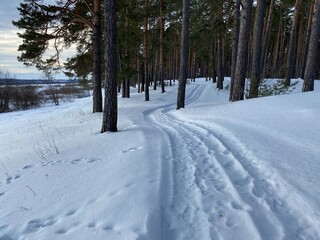 Winter dirt road along the forest. Winter landscape.