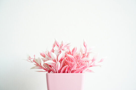 pink flower in vase. Still life photo of pink flower concept idea. Profile view of house plant.