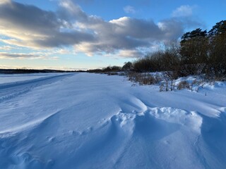 Fototapeta na wymiar Winter landscape. Snow field. Edge of the forest.