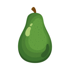 fresh avocado vegetable