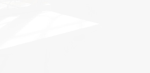 Abstract blurred background. reflection of leaves and gray light lines. reflected on the white concrete wall.