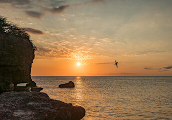  Views around the caribbean isalnd of Curacao