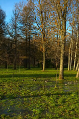 Fototapeta premium _IGP20121110l17