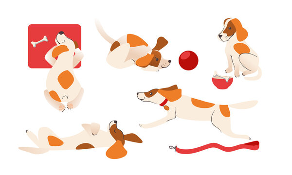 set of vector images of cute dogs in various poses