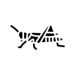 grasshopper insect glyph icon vector. grasshopper insect sign. isolated contour symbol black illustration