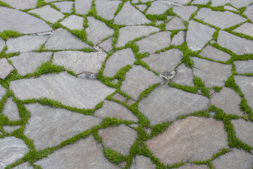 Grass growing between the rocks.