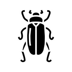 chafer insect glyph icon vector. chafer insect sign. isolated contour symbol black illustration