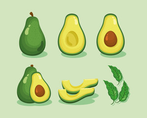 fresh avocados vegetables icons