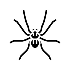spider insect glyph icon vector. spider insect sign. isolated contour symbol black illustration