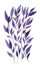 Leaf branch, random leaves, watercolor, watercolor leaves, violet