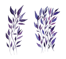 Fototapeta na wymiar Leaf branch, random leaves, watercolor, watercolor leaves, violet