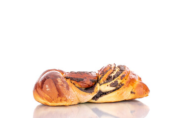 One flavorful homemade poppy seed bun, macro, isolated on a white background.

