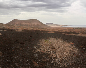 landscape of a volcanic island with arid soil and tile colors, islands, volcanoes and dry bushes...