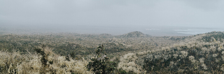 Scenic view of the lush landscape and diverse flora on Isla Isabela, Galapagos, Ecuador.