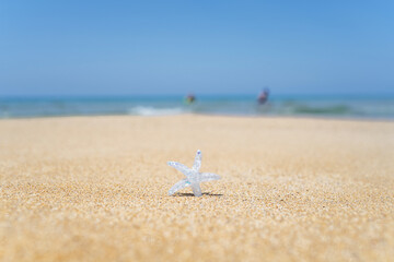 Fototapeta na wymiar Silver starfish, star on sand beach with sea water background. Vacation concept
