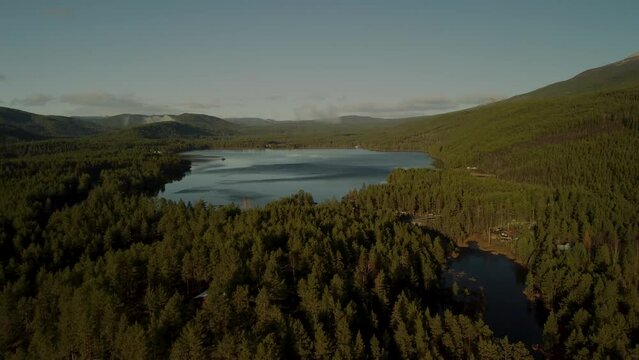 Upward View Lake Sandvatn 4K Fly Over Trees Norwegian Mountain range 30fps