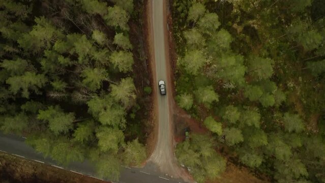 Follow Landrover Through Norwegian Forest Road Powerlines 4K 30fps