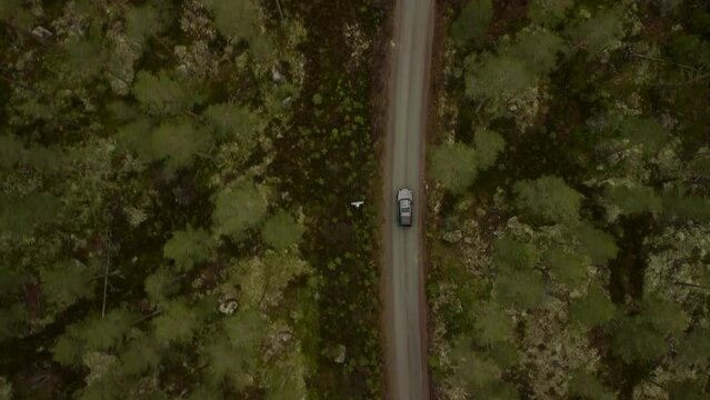 Follow Landrover Norwegian Forest Road Trees 4K 30fps warm tones