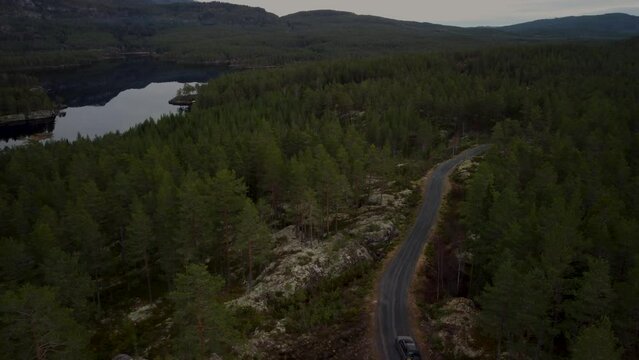 Landrover driving next to Norwegian Lake Forest Road Warm Tones 4K 30fps