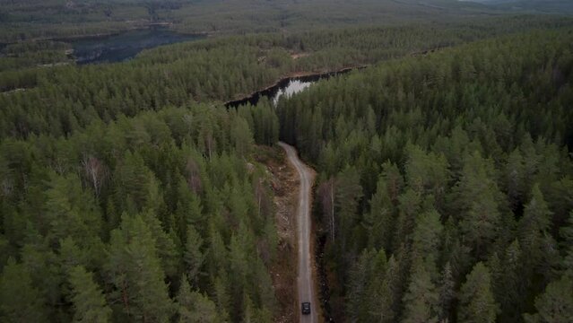 Follow Landrover two lakes forest road norwegian mountain 4K 30fps