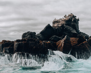 Rocky outcrop with seabirds and waves crashing at Los Tuneles, Isla Isabela, Galapagos, Ecuador