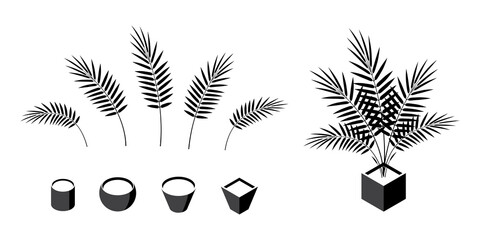 Areca palm isometric icons in flat style, vector