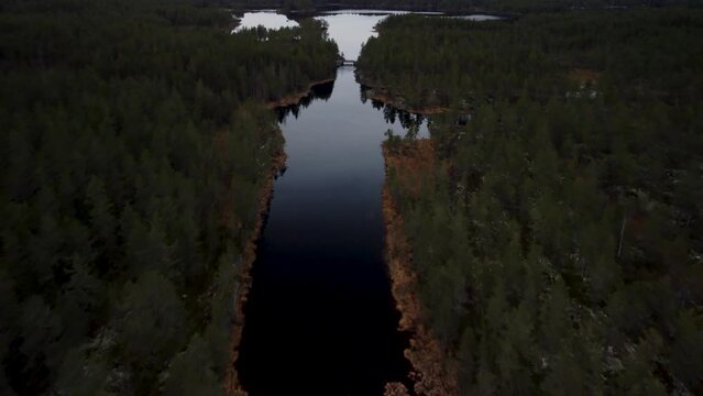 Lake Holmevatn Holkae Reflection Fly Over Dark Forest 4K 30fps
