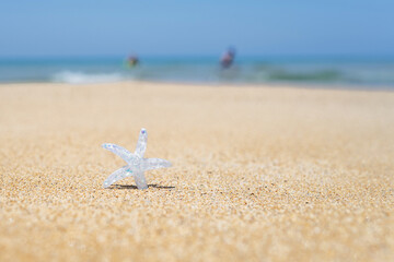 Silver starfish, star on sand beach with sea water background. Vacation concept