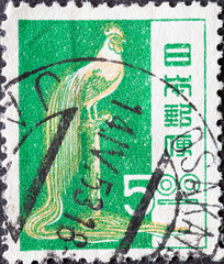 Japan - circa 1951: a postage stamp from Japan, showing a Long-tailed Cock (Gallus Gallus...