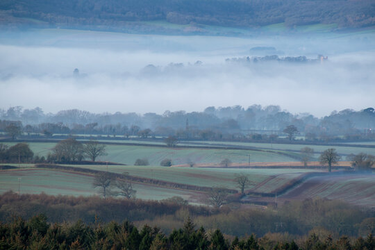 Atmospheric picture of rolling hills and trees shrouded in early morning mist.