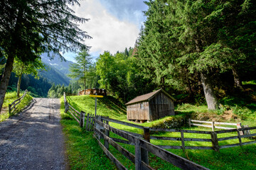 Fototapeta na wymiar Path and shed near mountains and forest
