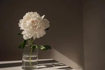 Gordijnen Aesthetic luxury flowers composition. Elegant delicate white peony flower in glass vase casting sunlight shadow on white table © Floral Deco